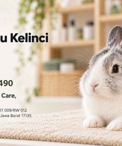 Potong Kuku Kelinci di Cibubur, Perawatan di Kelinci Unyuk Kranggan